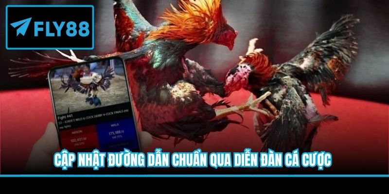 Cập nhật đường dẫn chuẩn qua diễn đàn cá cược