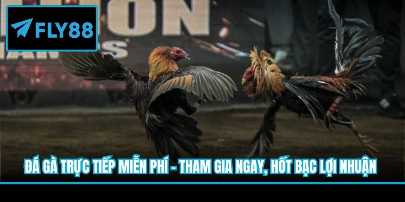 đá gà trực tiếp miễn phí