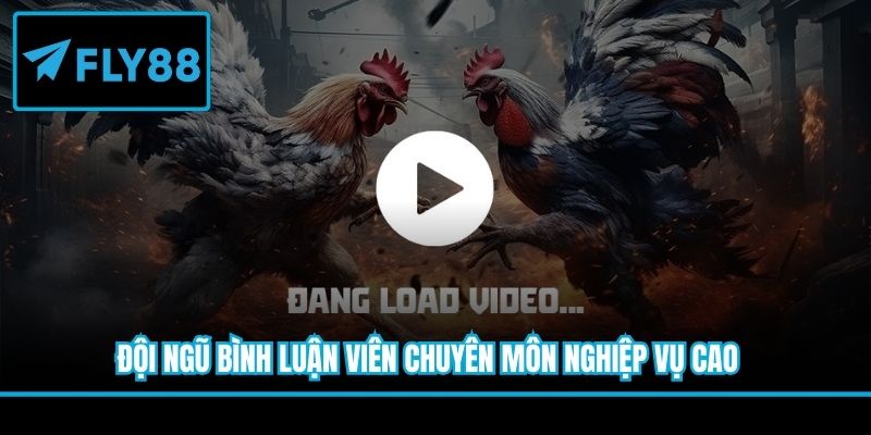 Đội ngũ bình luận viên chuyên môn nghiệp vụ cao 