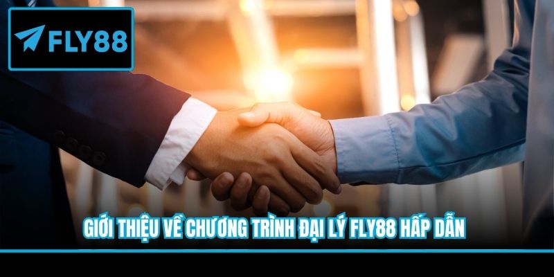 Giới thiệu về chương trình đại lý Fly88 hấp dẫn