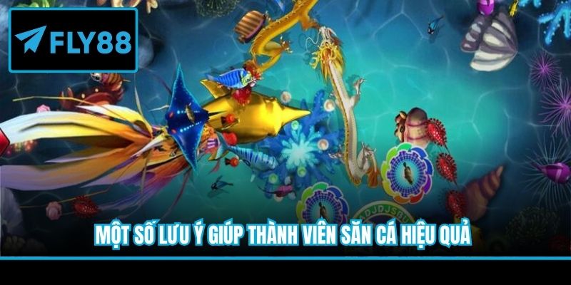 Một số lưu ý giúp thành viên săn cá hiệu quả