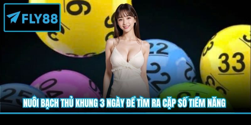 Nuôi bạch thủ khung 3 ngày để tìm ra cặp số tiềm năng