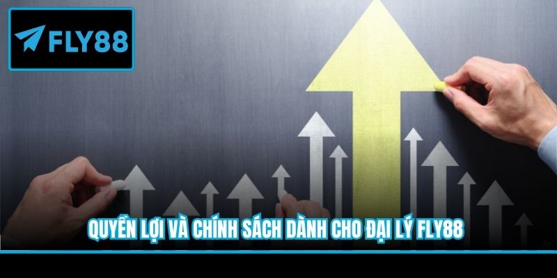 Quyền lợi và chính sách dành cho đại lý Fly88