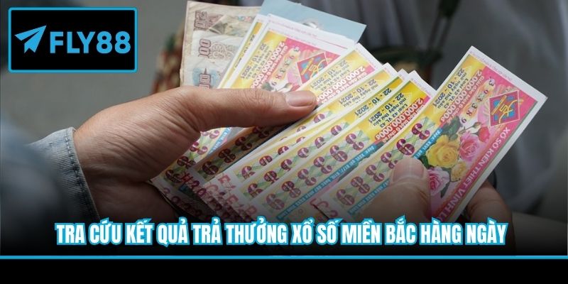 Tra cứu kết quả trả thưởng xổ số miền Bắc hàng ngày